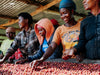 Eskaro Filterkaffee Bio Nyamasheke Women Coop - Eskaro - Esser Kaffeerösterei und Handelsgesellschaft mbH