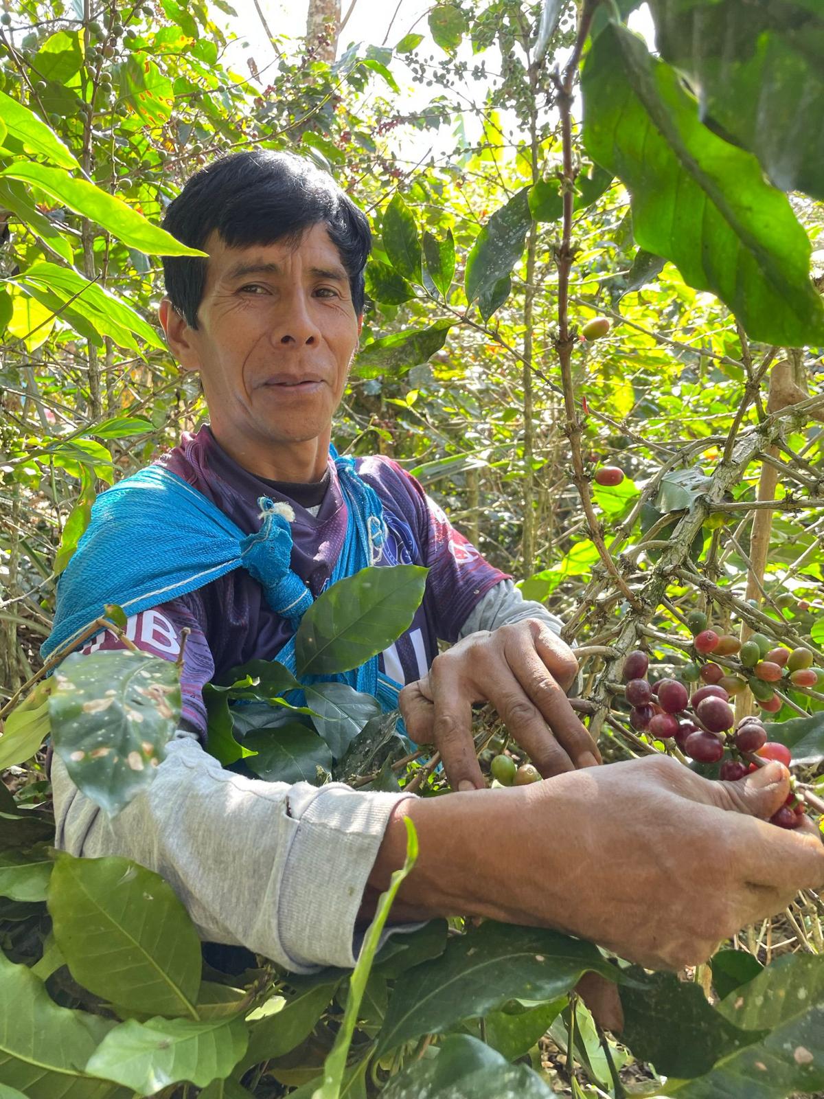 Slow Food® El Morito - Eskaro - Esser Kaffeerösterei und Handelsgesellschaft mbH