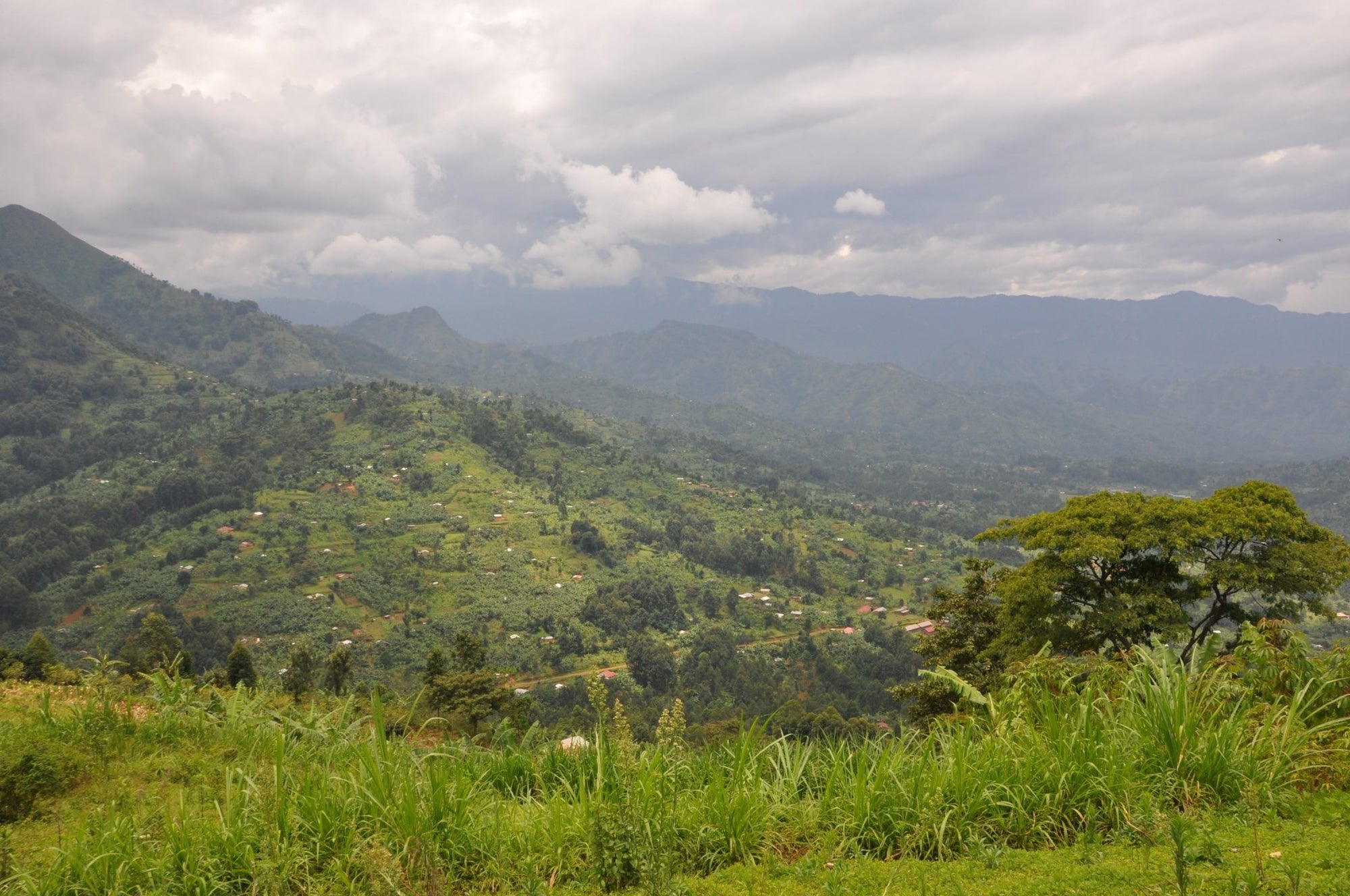 Slow Food® Mount Elgon - Eskaro - Esser Kaffeerösterei und Handelsgesellschaft mbH