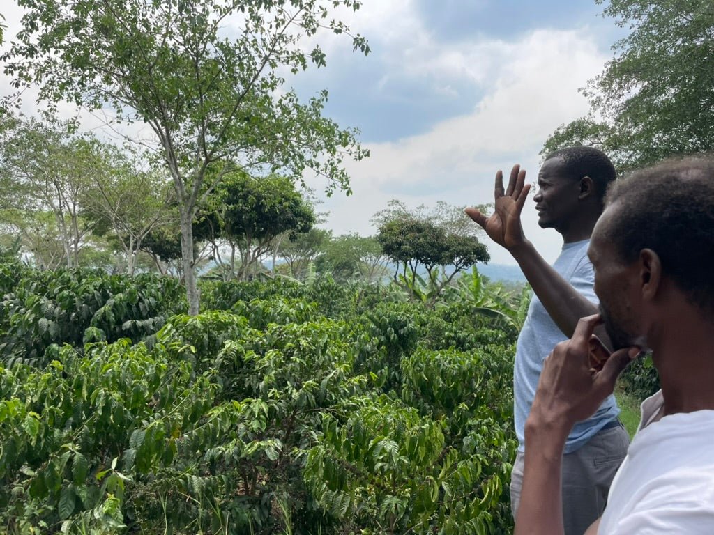 Slow Food® Mount Elgon - Eskaro - Esser Kaffeerösterei und Handelsgesellschaft mbH