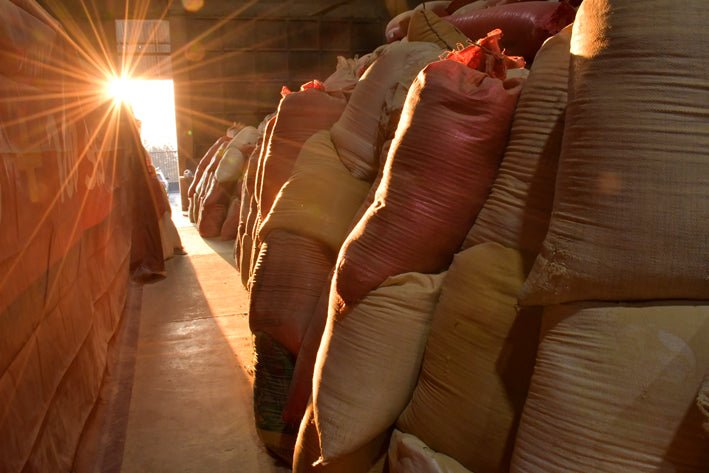 Bags of grain stacked in a warehouse with sunlight streaming in