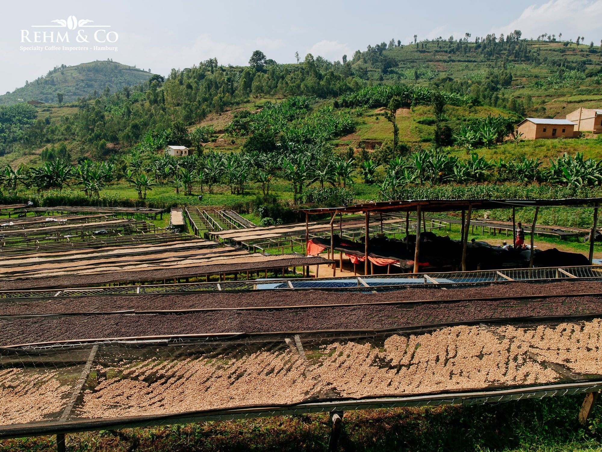 Eskaro Filterkaffee Bio Nyamasheke Women Coop - Eskaro - Esser Kaffeerösterei und Handelsgesellschaft mbH