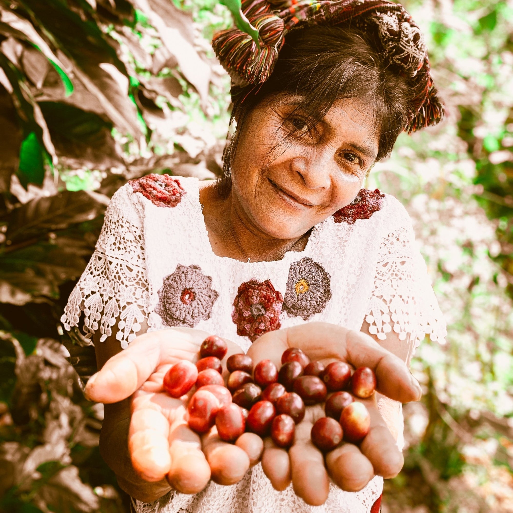 Kaffeeseminar: Einstieg in die Welt des Kaffees - Eskaro - Esser Kaffeerösterei und Handelsgesellschaft mbH