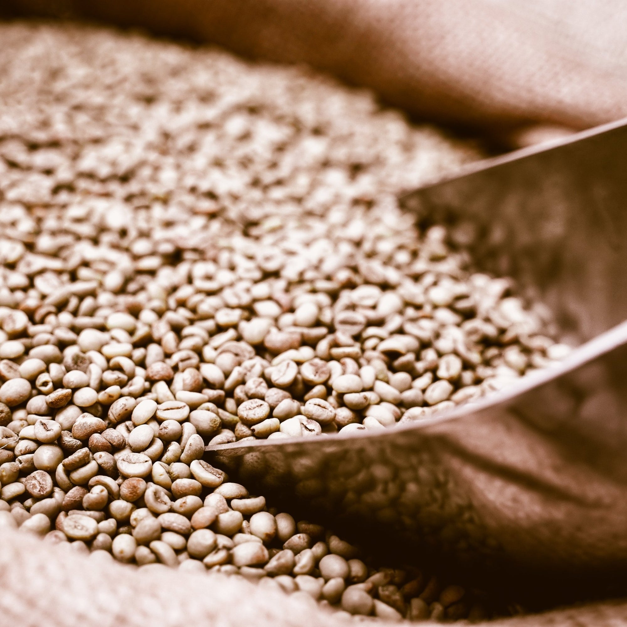 Kaffeeseminar: Einstieg in die Welt des Kaffees - Eskaro - Esser Kaffeerösterei und Handelsgesellschaft mbH